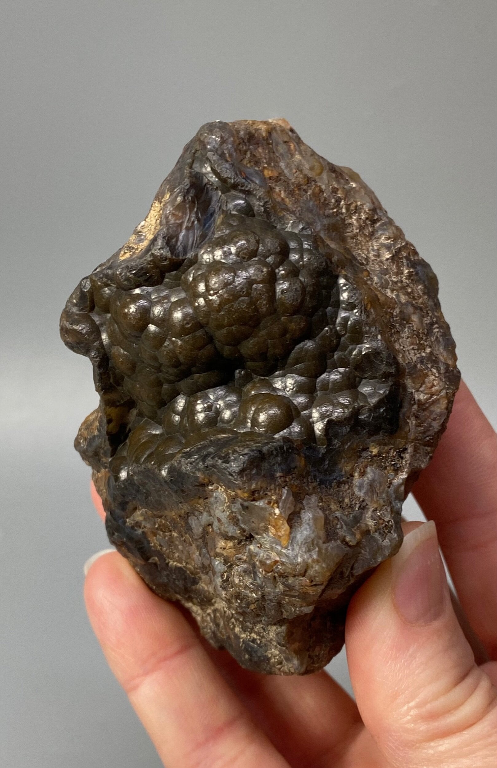 Botryoidal Agate with Hematite & Goethite