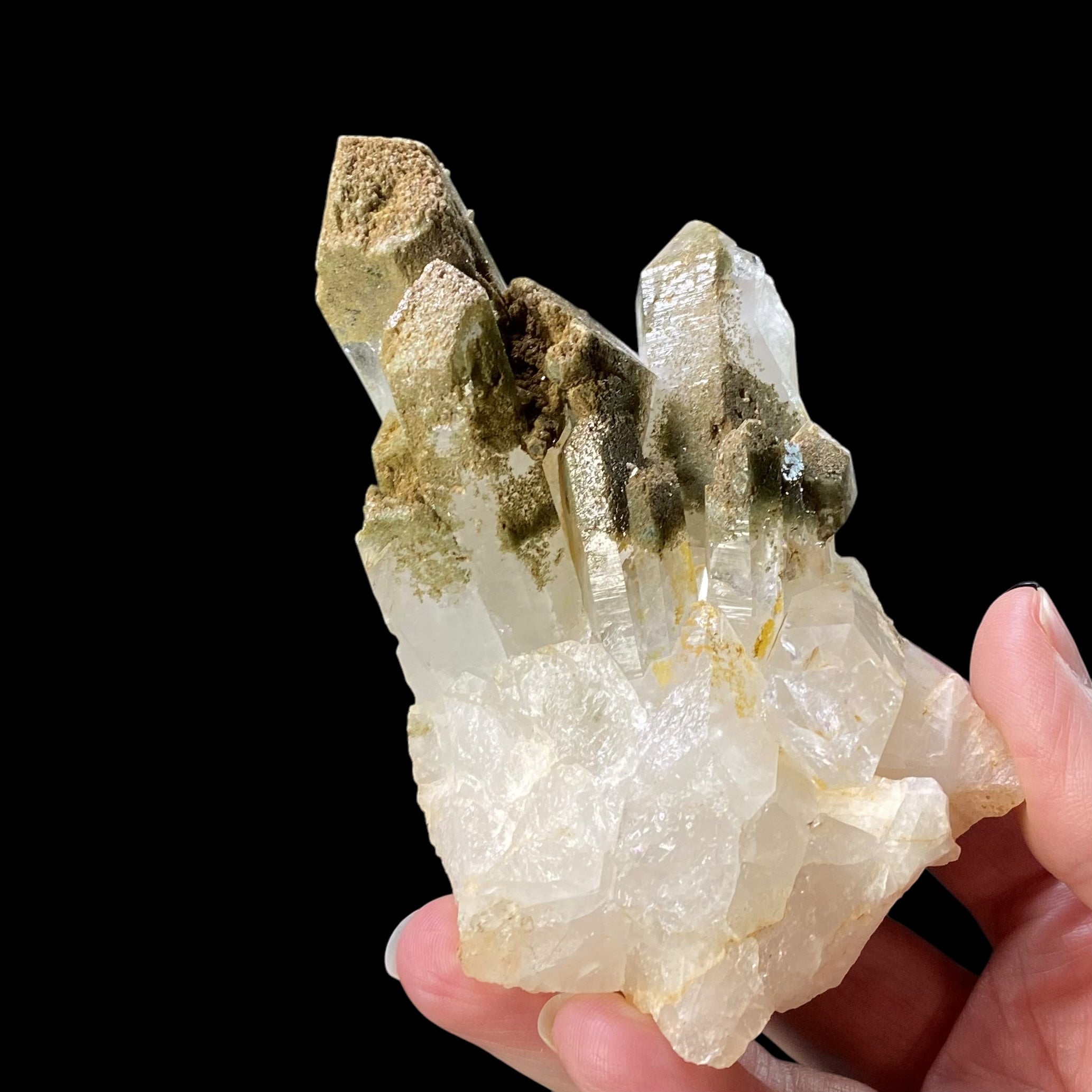 Chlorite Included Quartz Cluster - Garden Quartz