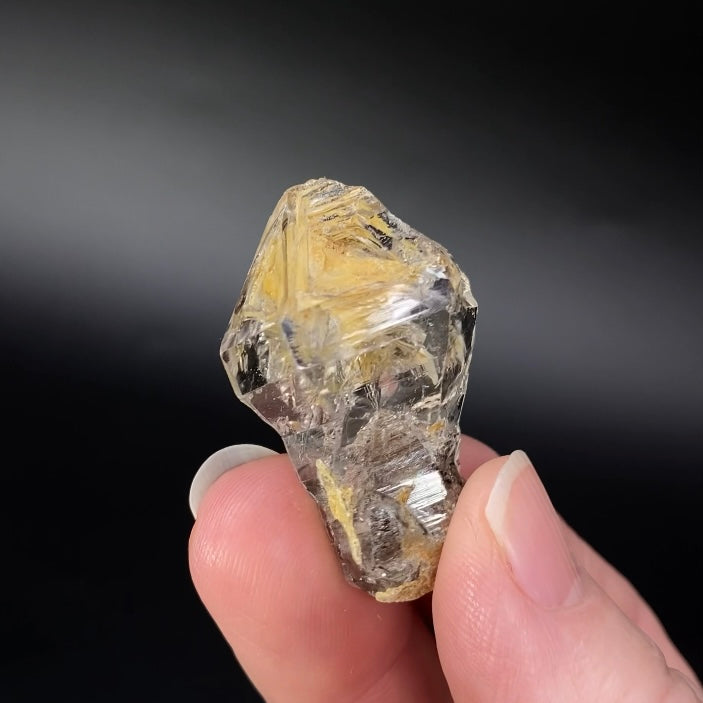 Fenster Scepter Quartz Crystal with Golden Clay Inclusions