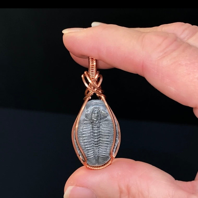 Fossilized Trilobite & Copper Wire Wrapped Handmade Pendant