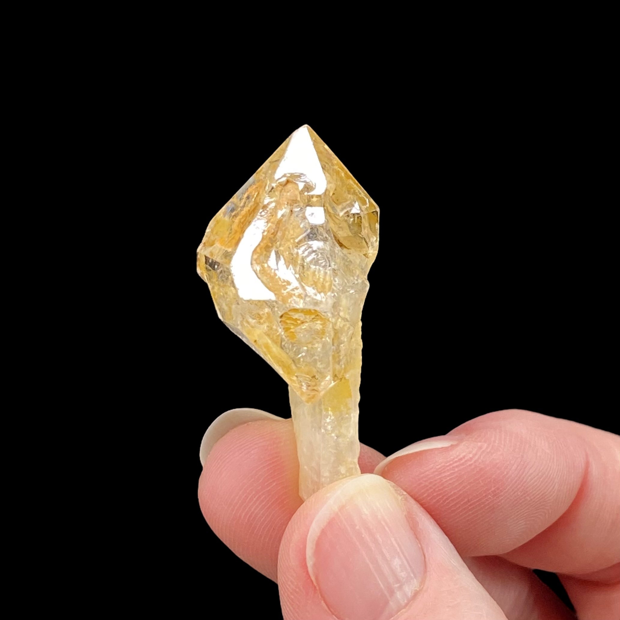 Golden Fenster Scepter Quartz Crystal with Double Terminations