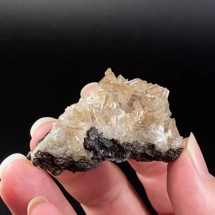 Hemimorphite Crystals on Matrix, Santa Eulalia, Chihuahua, Mexico