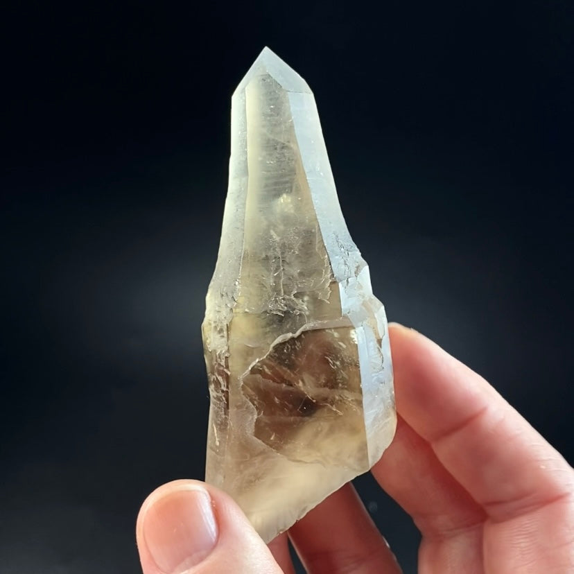 Unique Reverse Scepter Smoky Quartz Crystal