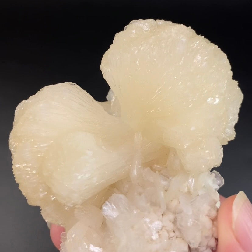 Stilbite Bow Tie Cluster with Stilbite Blades on Matrix