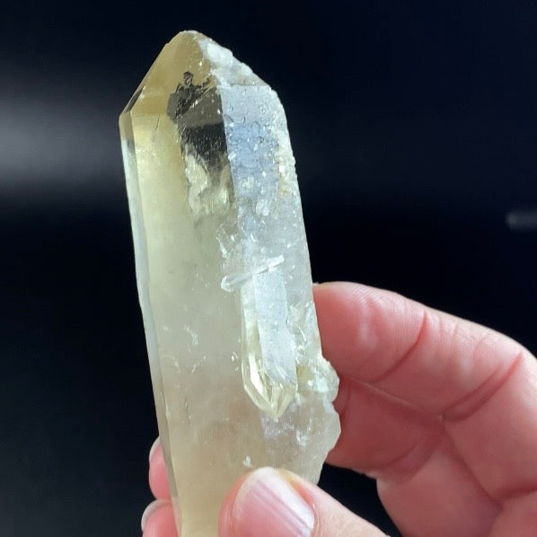 Natural Golden Smoky Citrine Isis Generator Quartz Crystal with Bridge - Penetrator Crystals