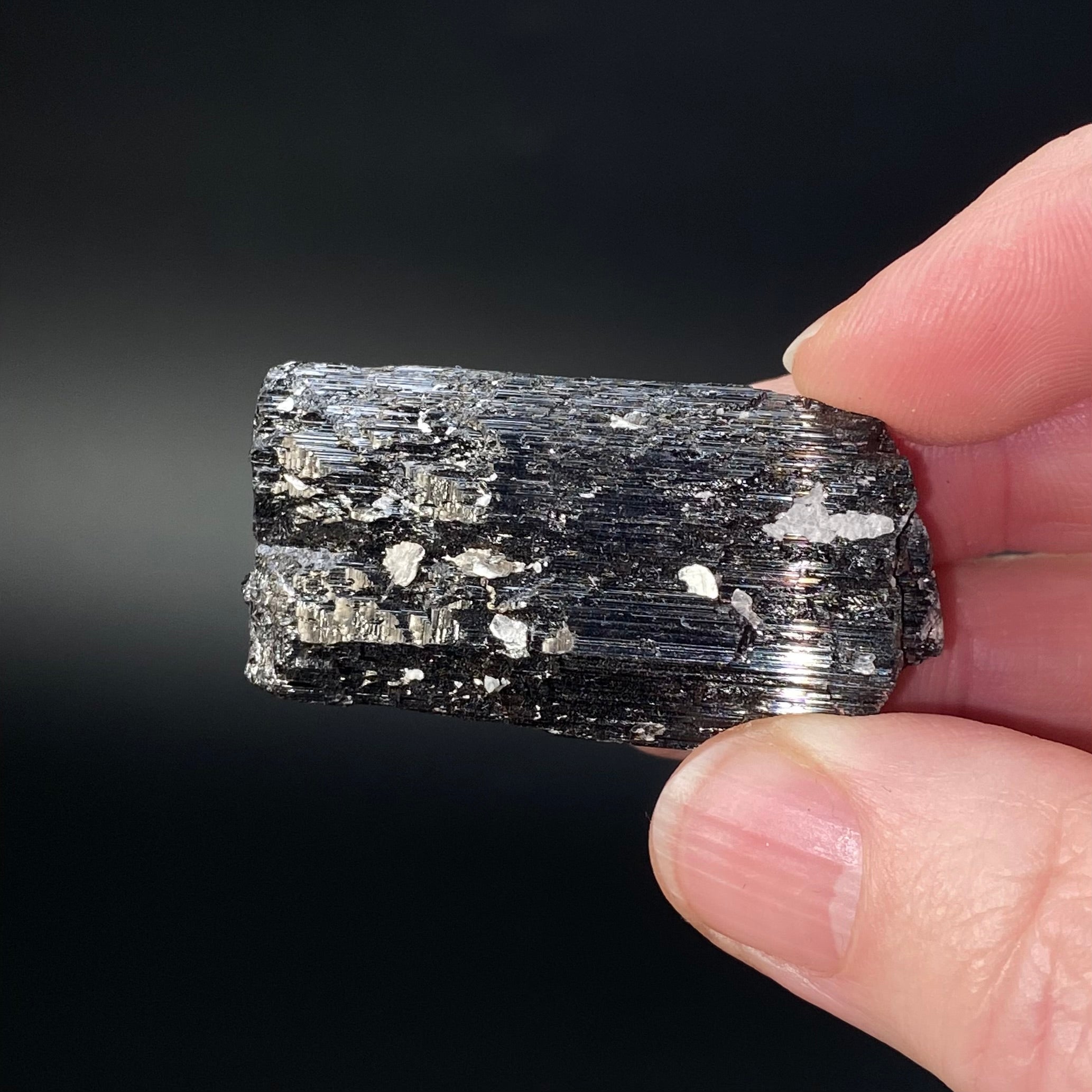 Etched Black Tourmaline Schorl with Mica