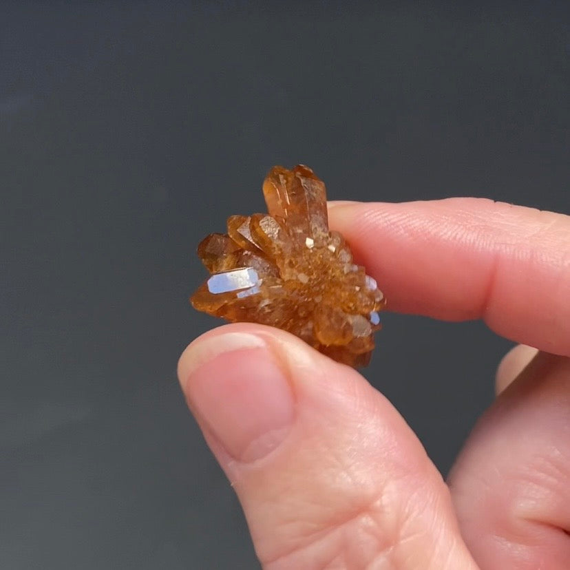 Floater Citrine Colored Honey Brown Quartz Flower Cluster - Midelt, Morocco