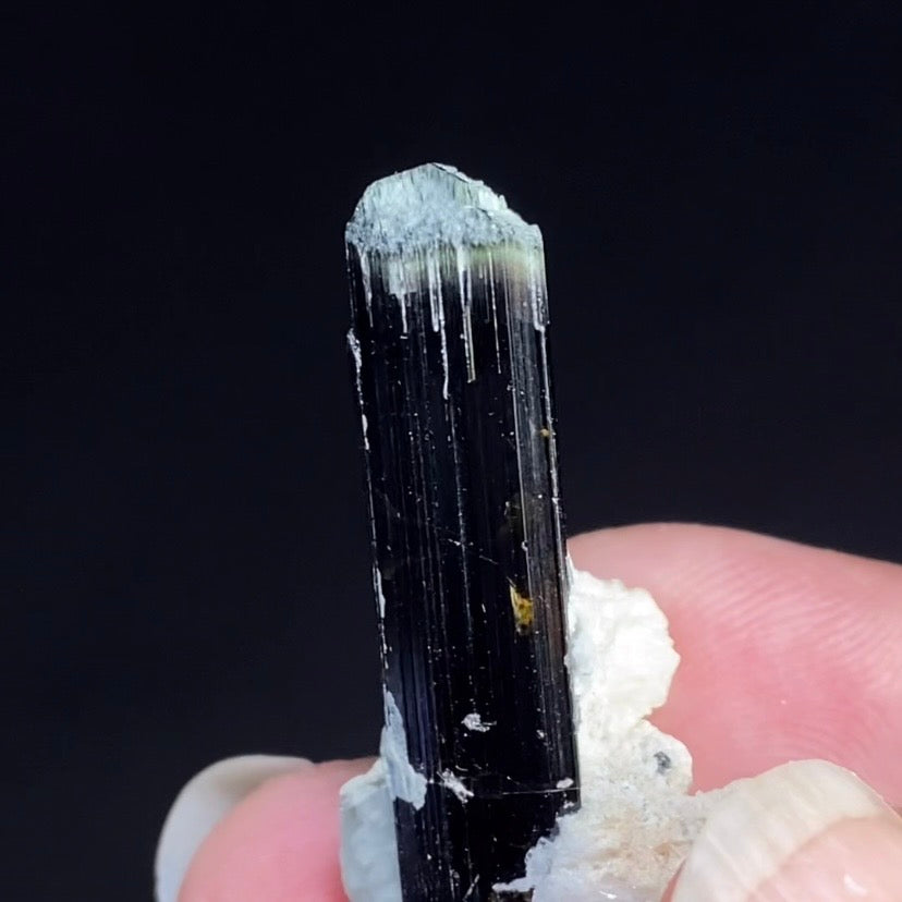 Terminated Bicolor Black Tourmaline Schorl Crystal with Feldspar from Shigar Valley, Pakistan