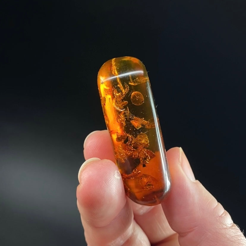 Polished Colombian Amber with Inclusions from Cimitarra, Fluorescent
