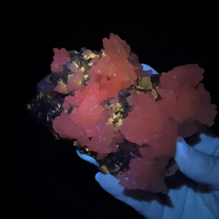 Galena, Fluorescent Calcite and Pyrite Cluster from Trepça Mine Complex, Kosovo