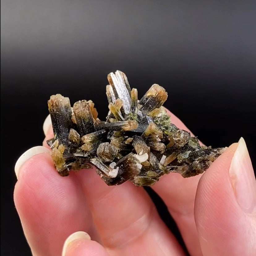 Etched Tip Bi-Color Epidote Crystal Cluster