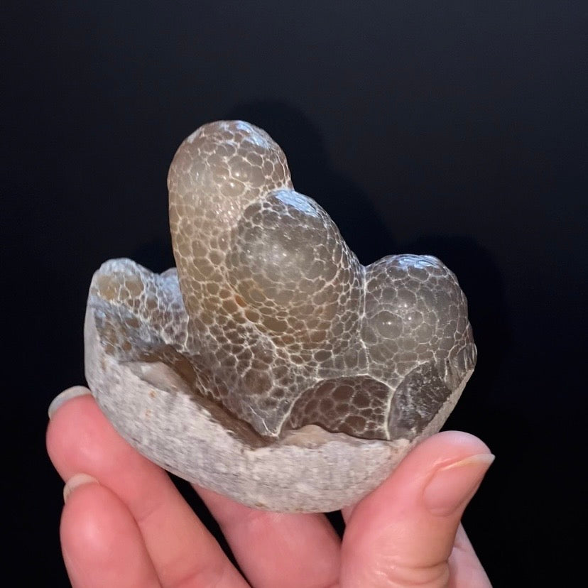 Textural Botryoidal Chalcedony with Vertical Columns – Maharashtra, India