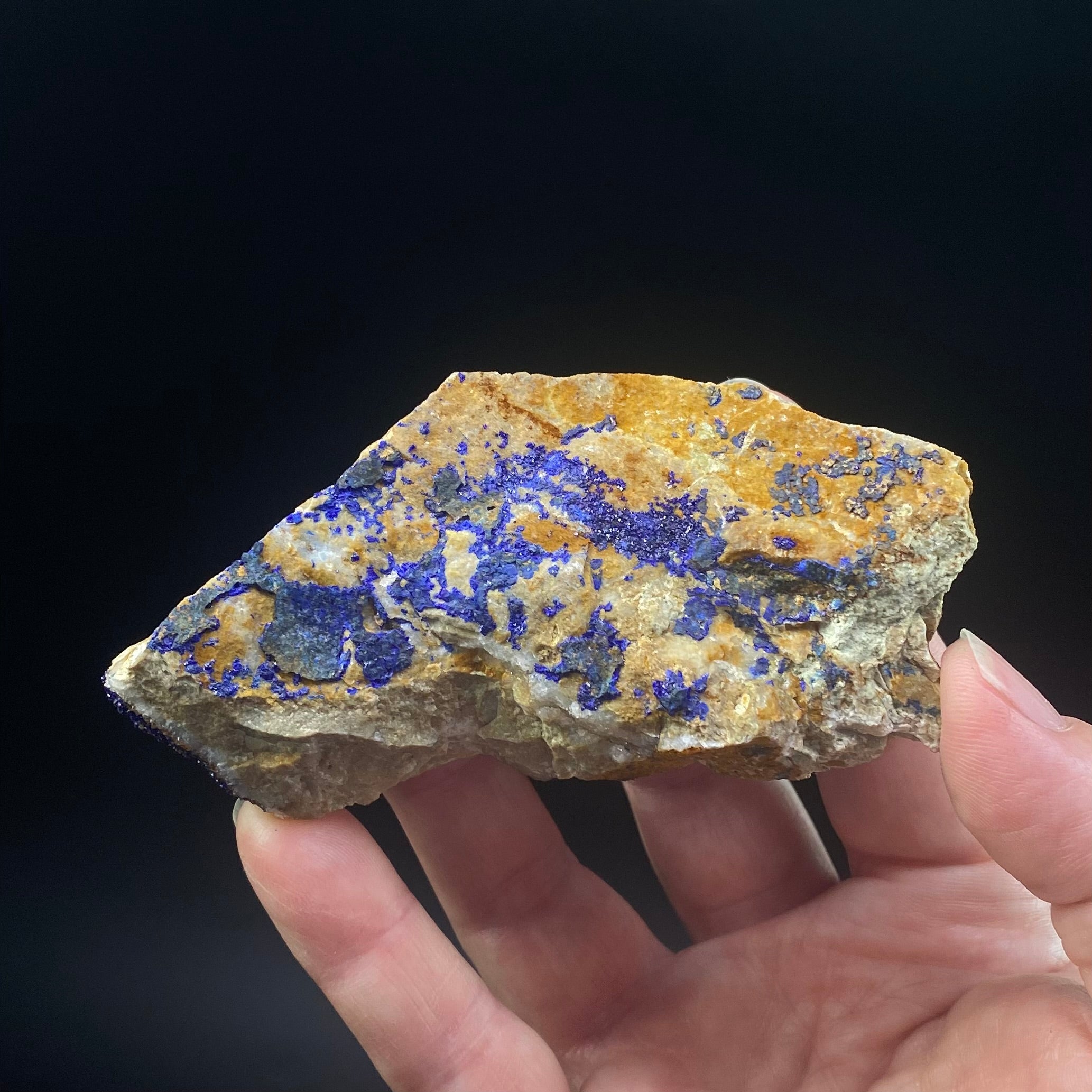 Azurite Crystals on Quartzite, Morocco