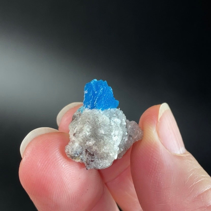 Vibrant Blue Cavansite Cluster on Druzy Stilbite & Basalt Matrix