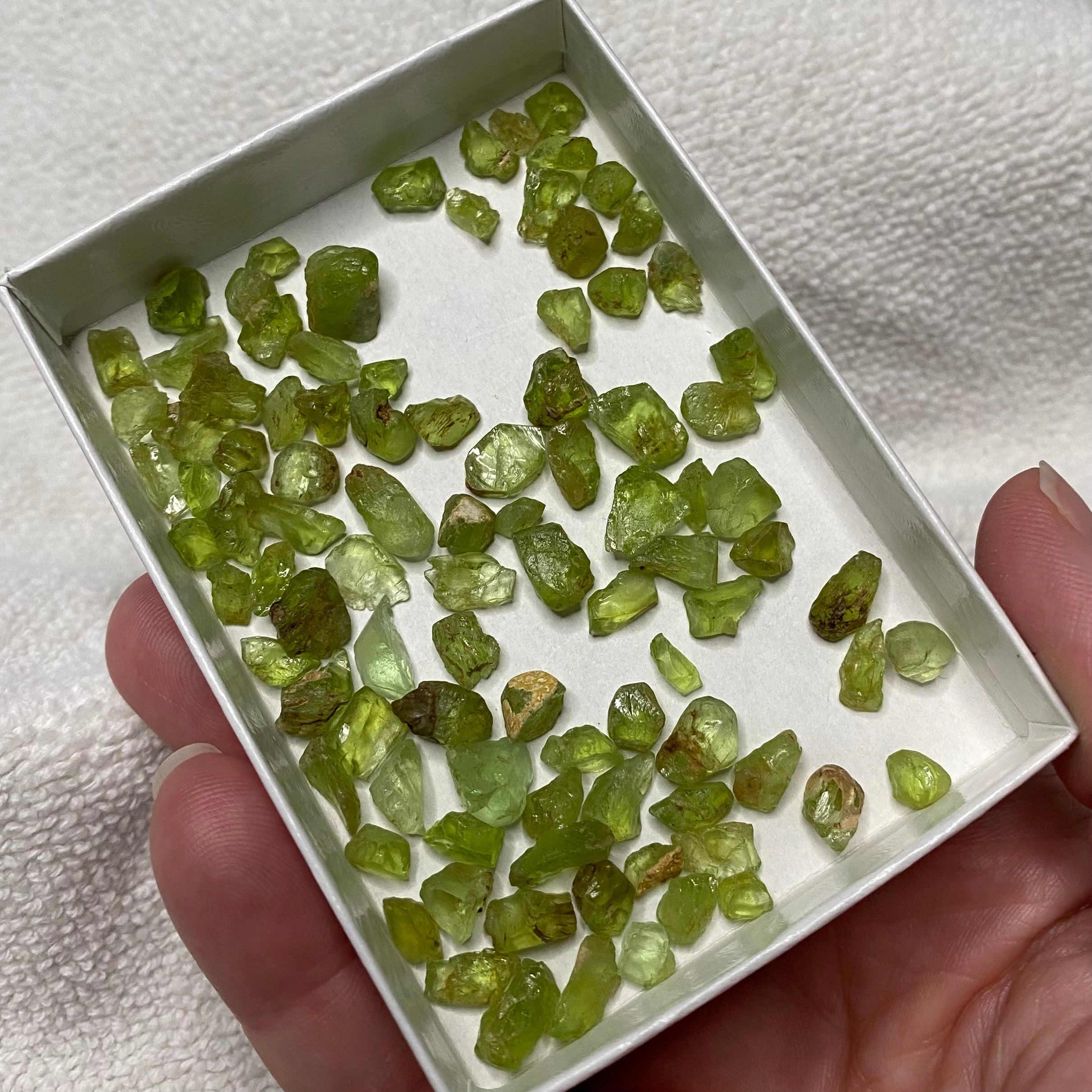 Lot of Green Peridot Crystals - Loose Gemstones