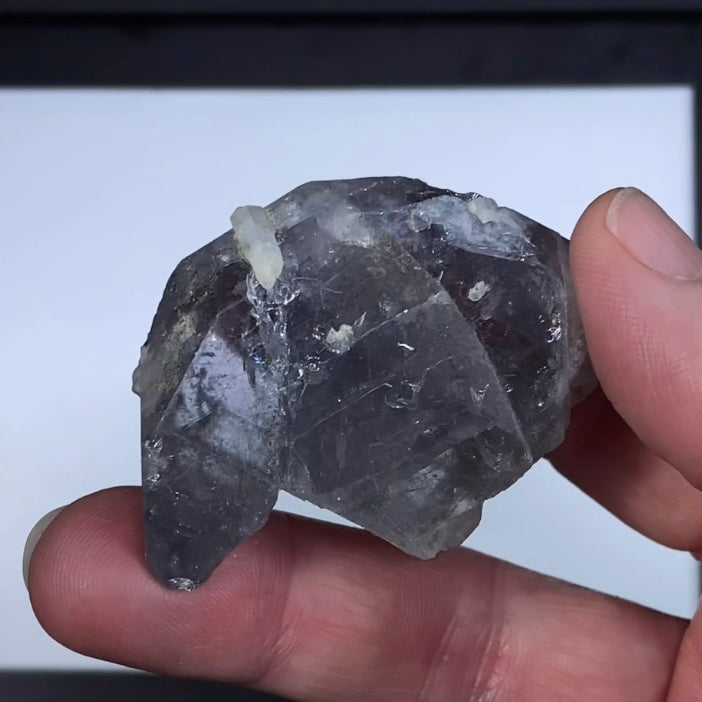 Lavender Gray Apatite Crystal with Actinolite Inclusions