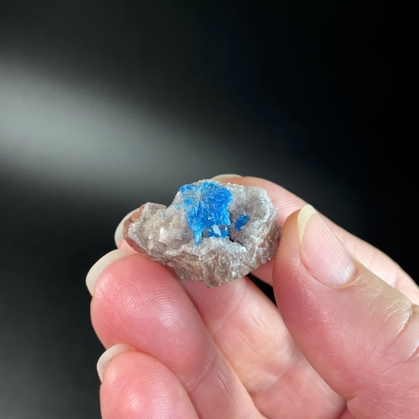 Vibrant Blue Cavansite / Pentagonite & Stilbite on Basalt Matrix