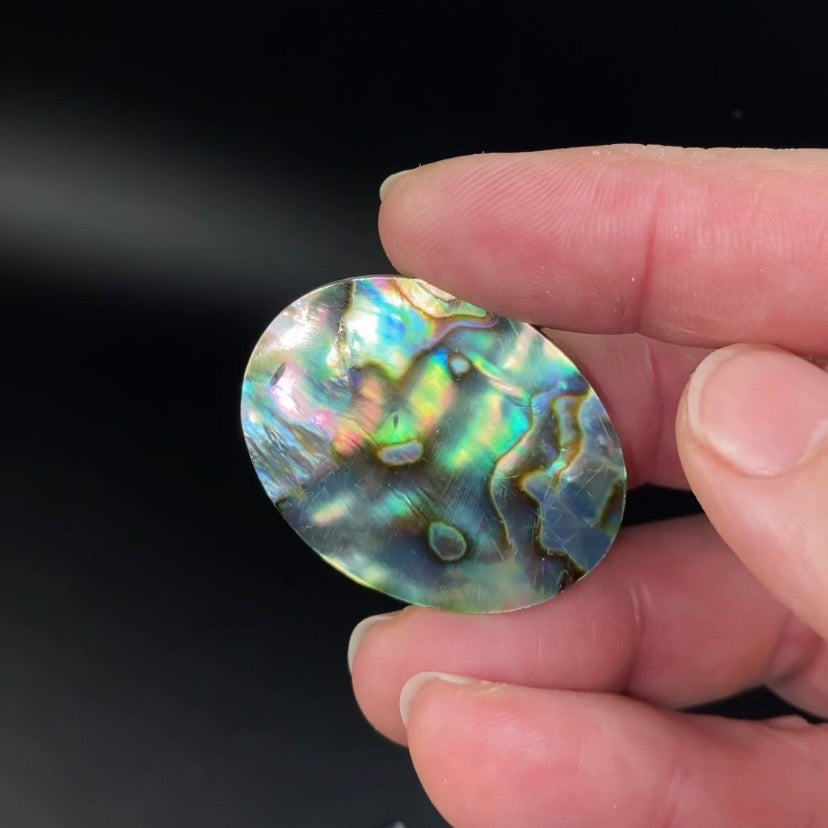 Abalone Shell Oval Shaped Polished Cabochon