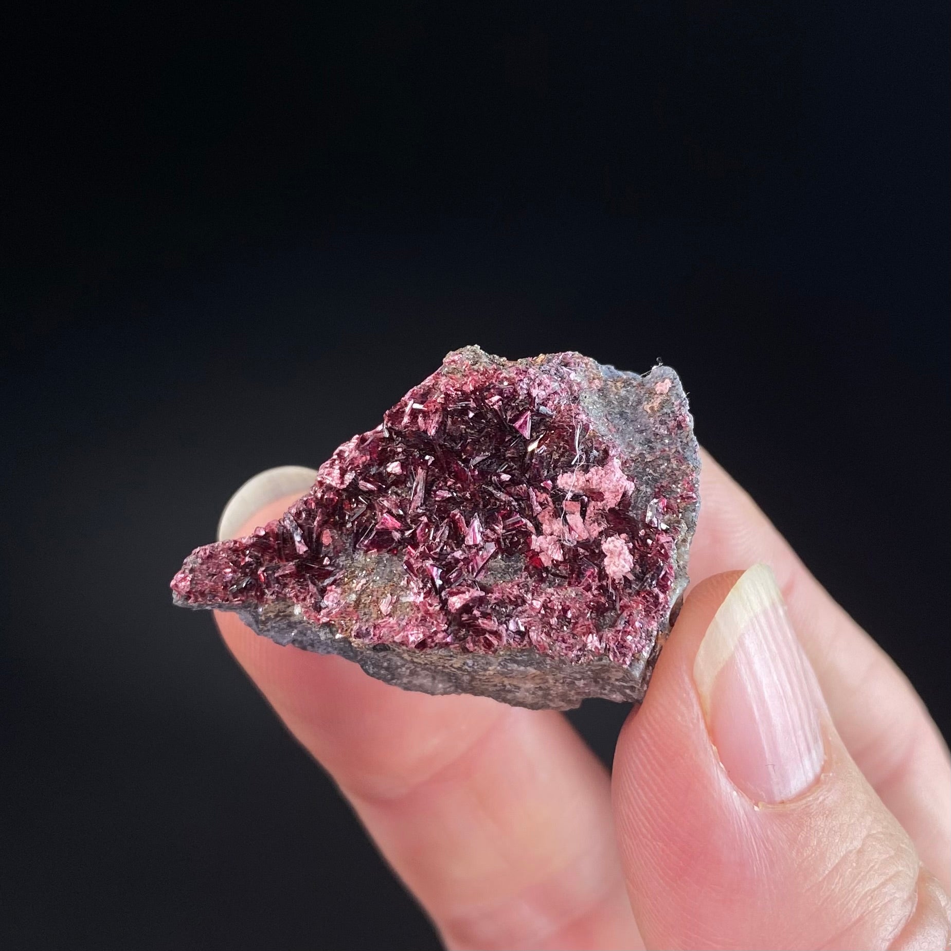 Deep Red Erytherite Crystals on Matrix, Bou Azzer District, Morocco