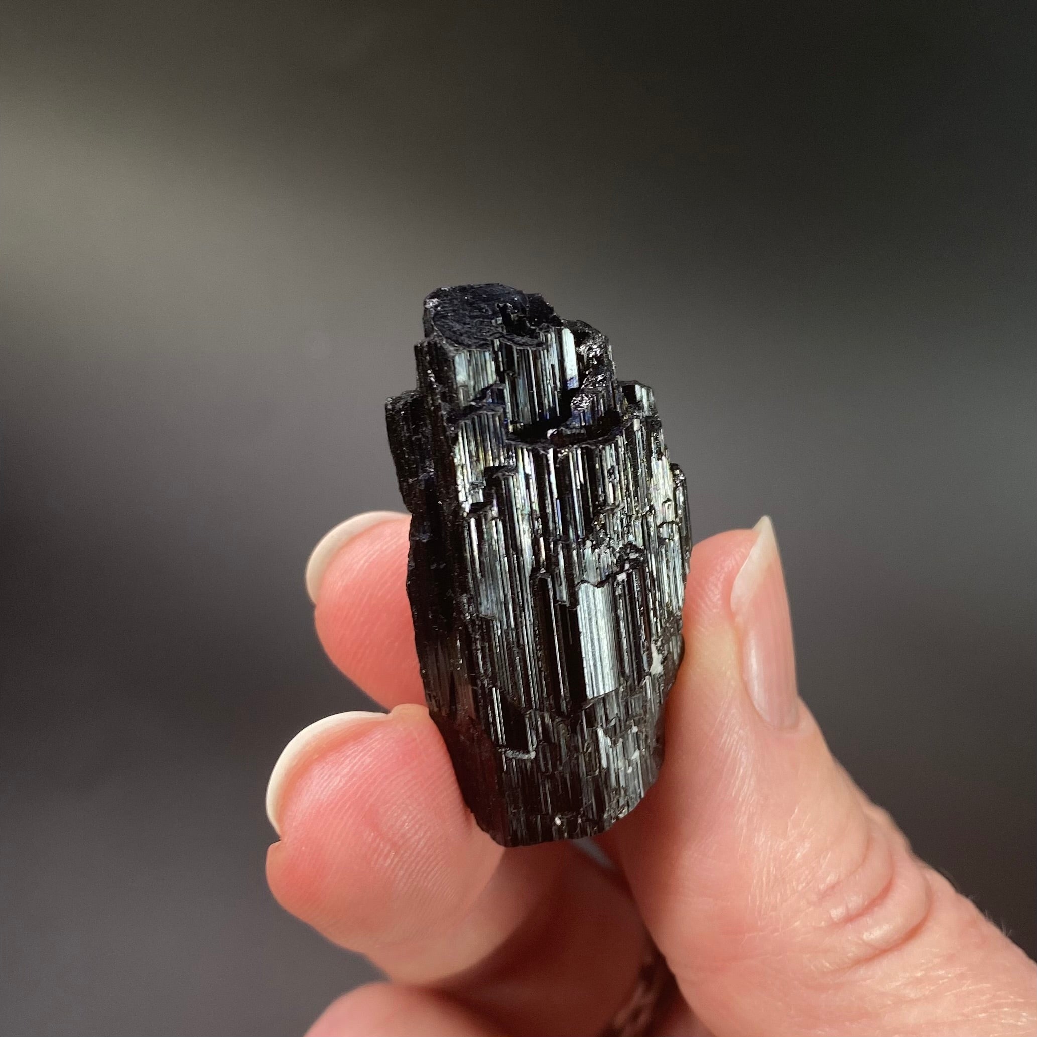 Etched Black Tourmaline Schorl with Mica