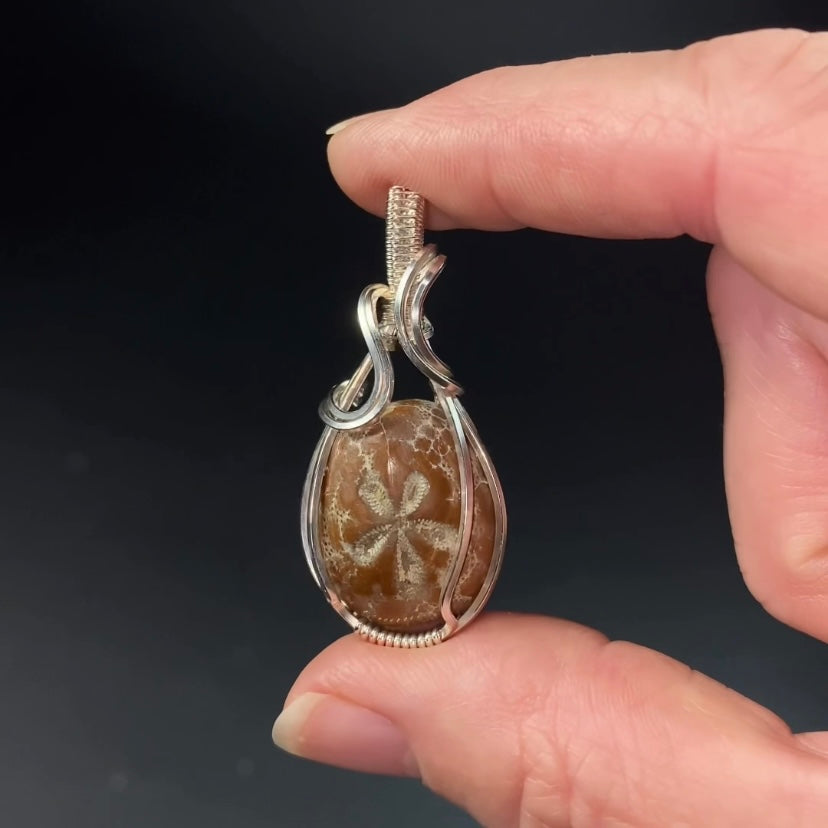 Hemiaster Sea Urchin Fossil and Sterling Silver Wire Wrapped Pendant