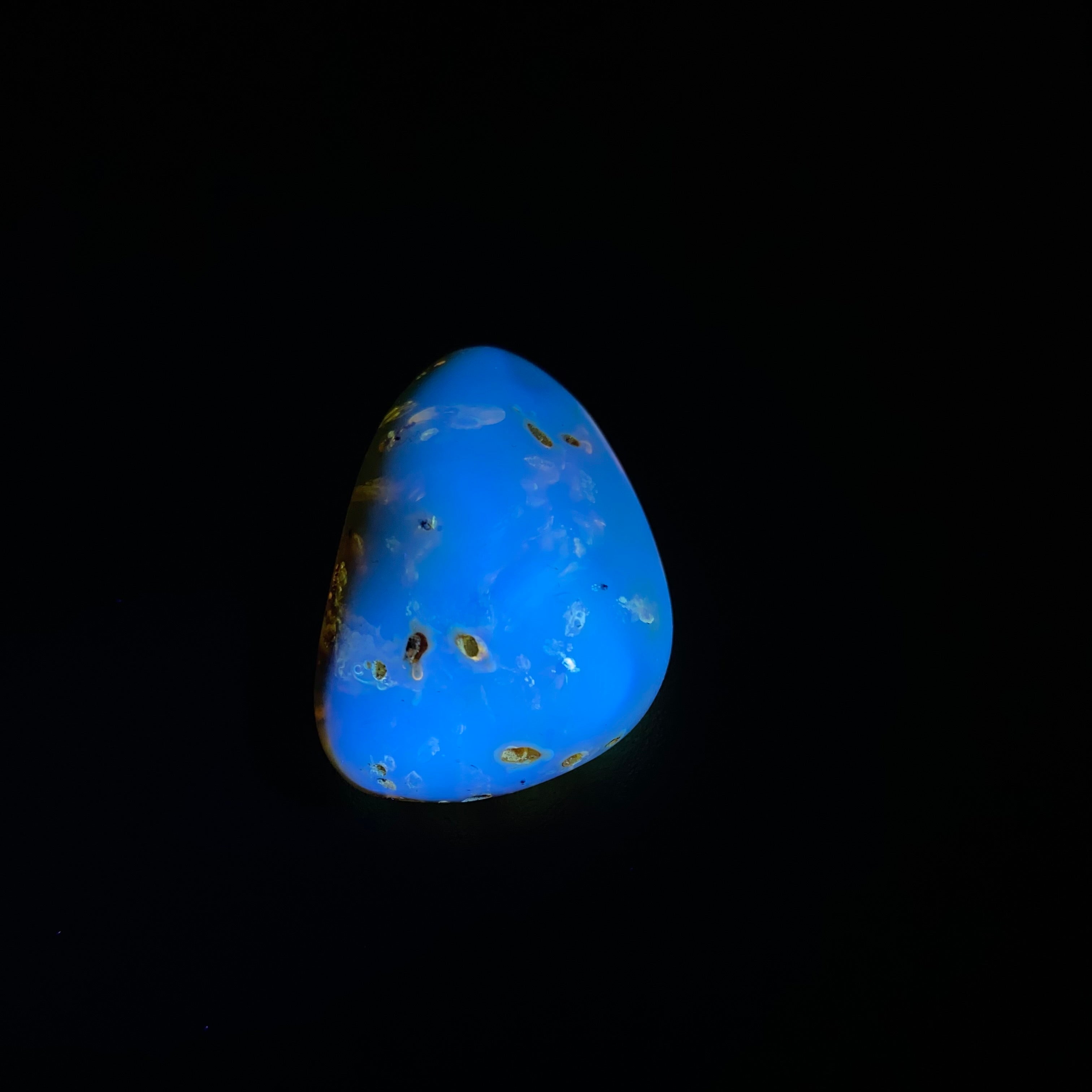 Polished Amber with Inclusions from Cimitarra, Colombia