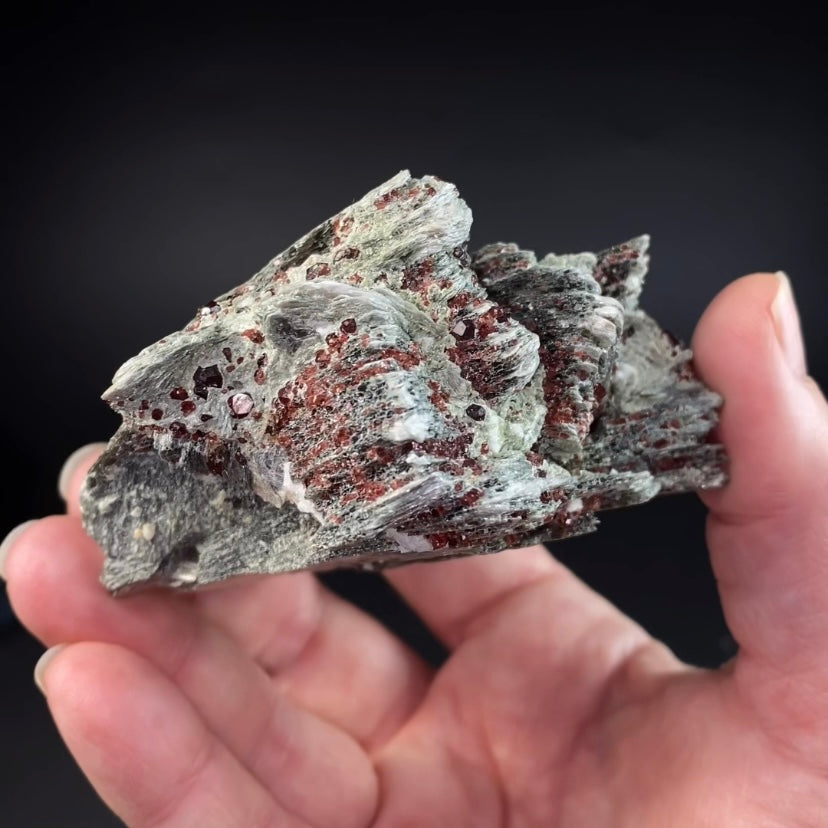 Spessartine Garnets on Muscovite Mica, Shigar Valley, Pakistan