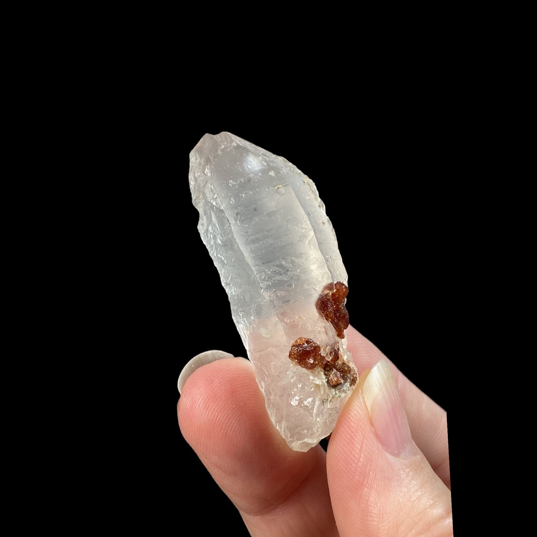 Garnet Crystals on Quartz