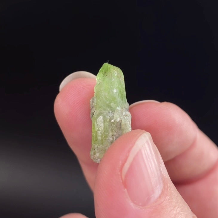 Terminated Peridot Crystal from Kohistan, Pakistan