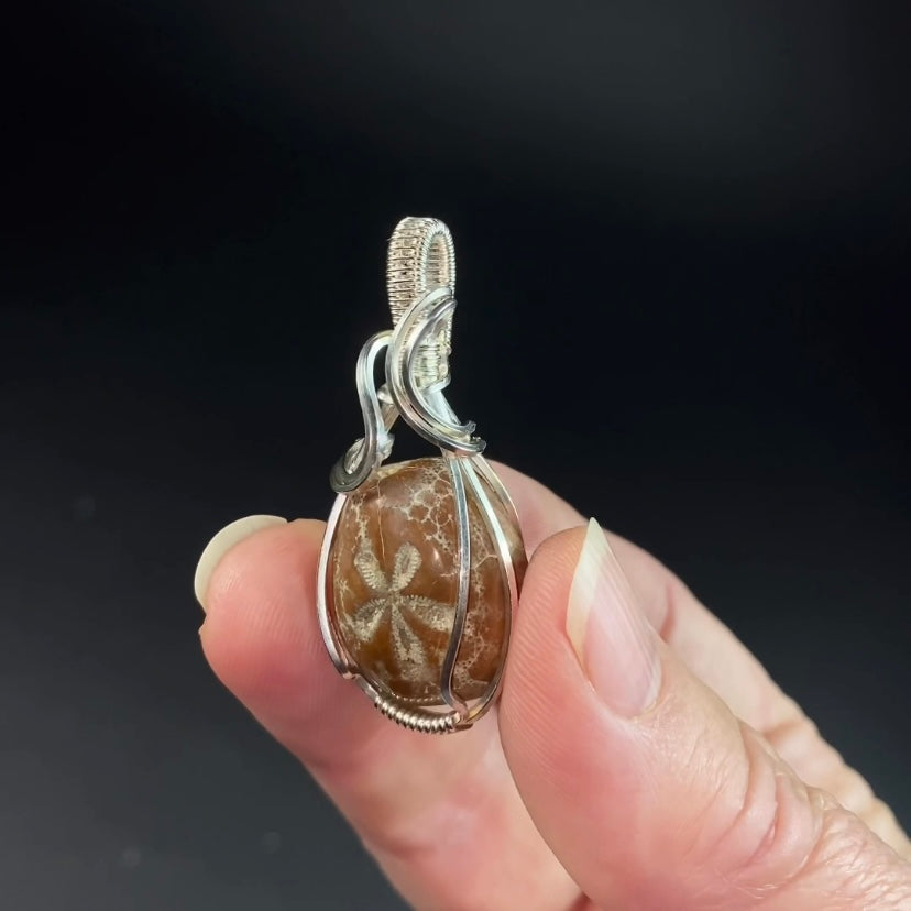 Hemiaster Sea Urchin Fossil and Sterling Silver Wire Wrapped Pendant