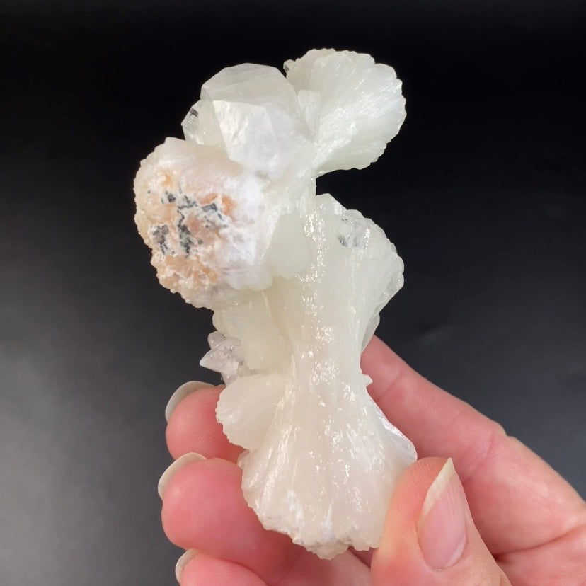 White Stilbite Bow Tie Cluster with Clear Apophyllite Crystals