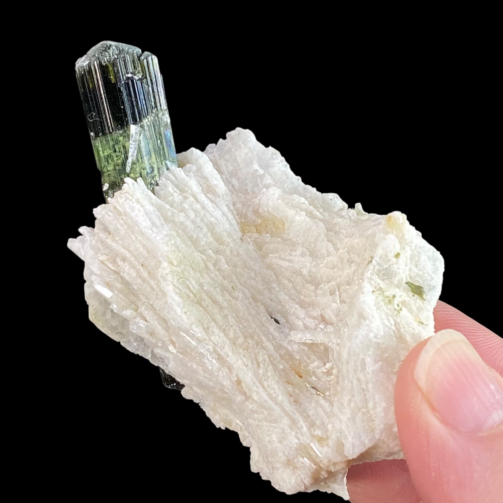 Iridescent Tourmaline Crystal in Cleavelandite, Laghman, Afghanistan