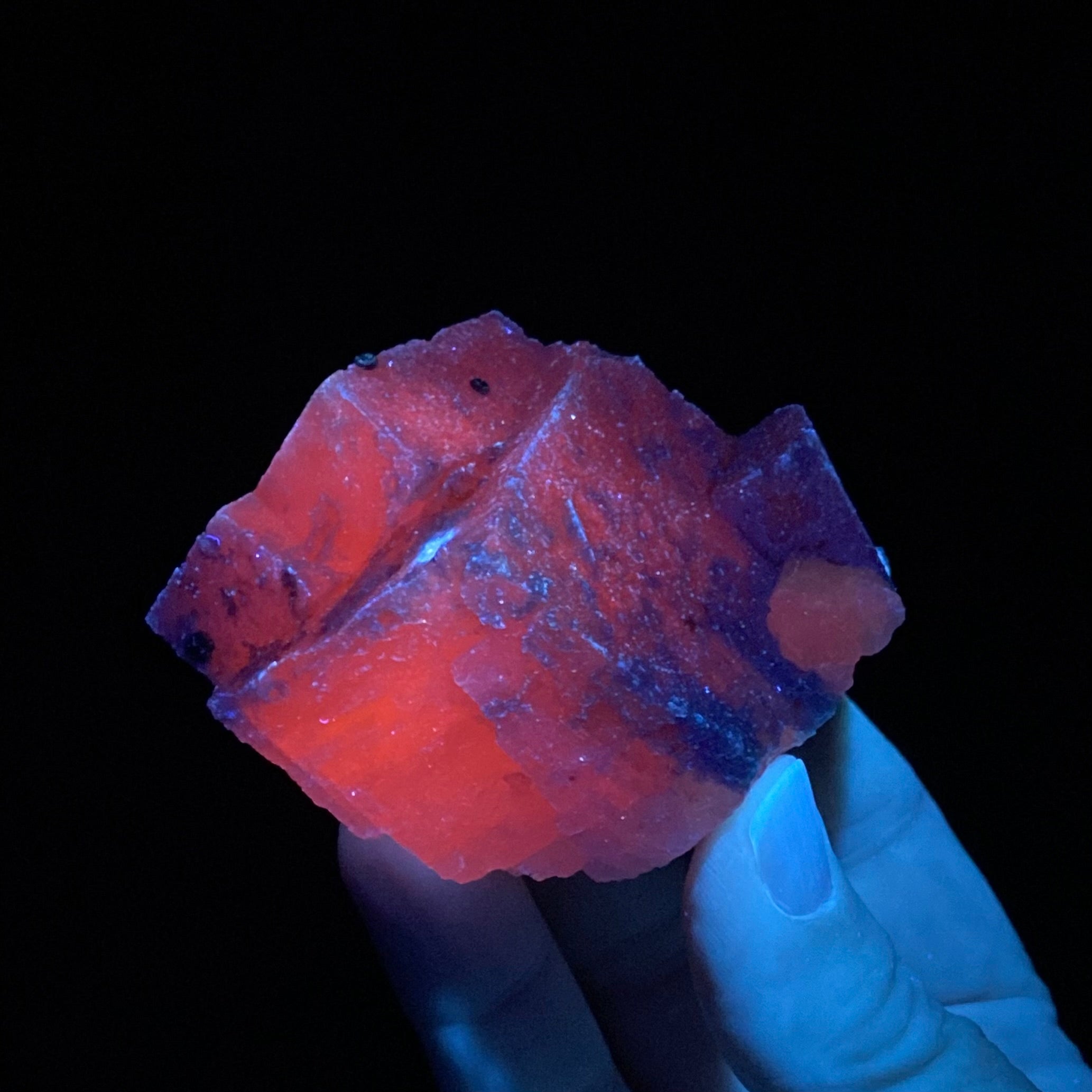 Rhombic Fluorescent Mangano Calcite Specimen from Trepca Mine Complex, Kosovo