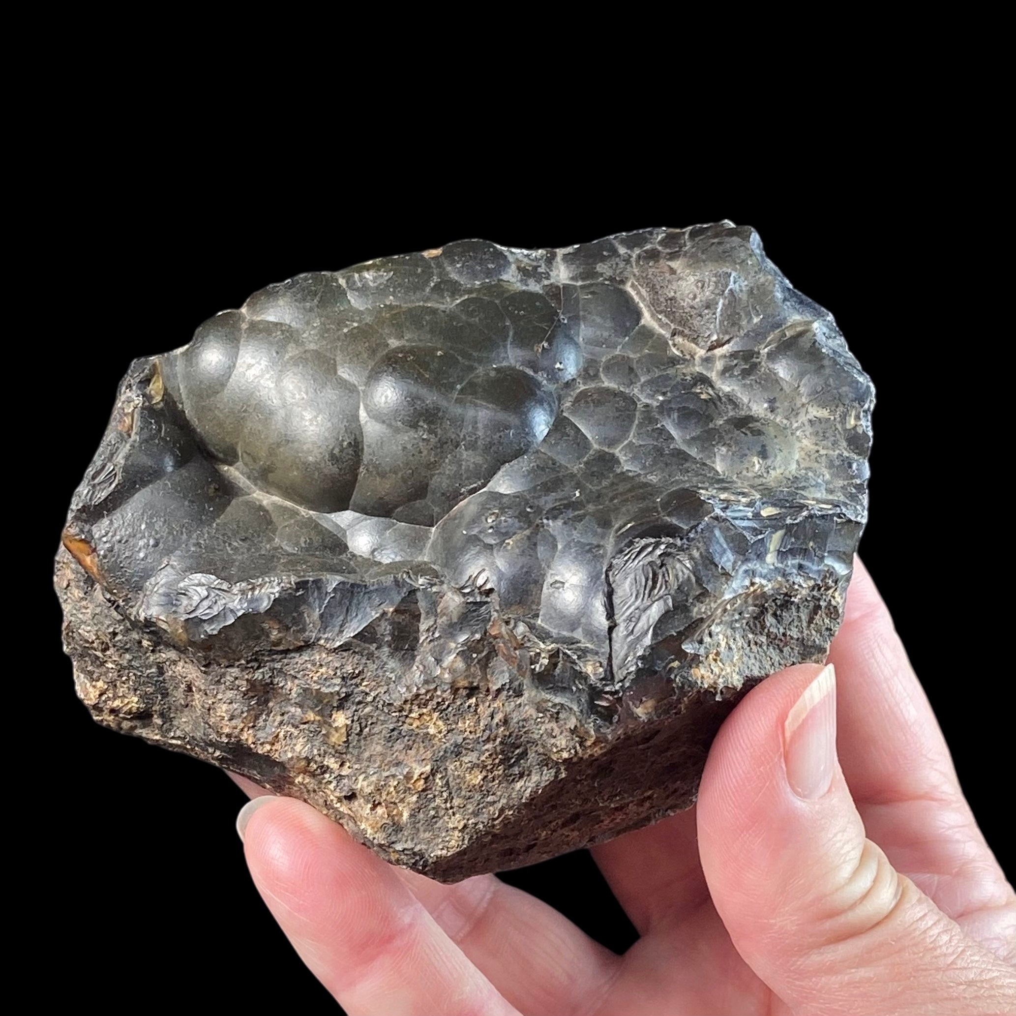 Botryoidal Agate with Hematite & Goethite