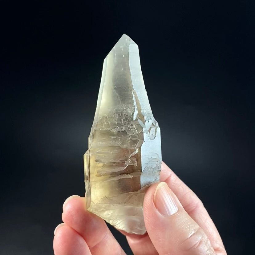 Unique Reverse Scepter Smoky Quartz Crystal