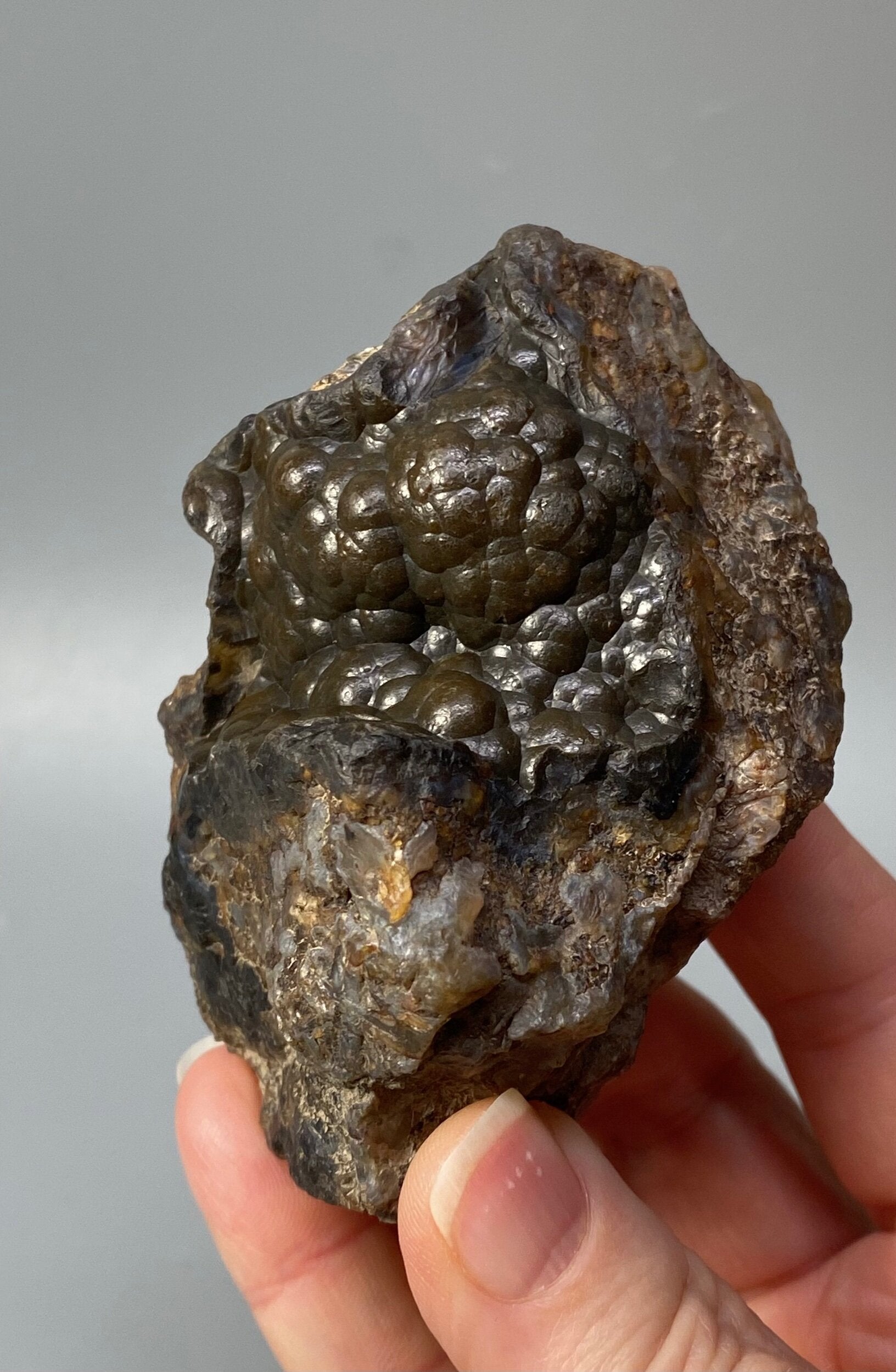 Botryoidal Agate with Hematite & Goethite