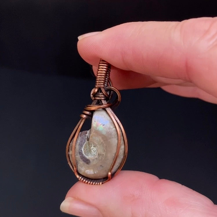 Polished Ammonite Fossil & Copper Wire Wrapped Pendant