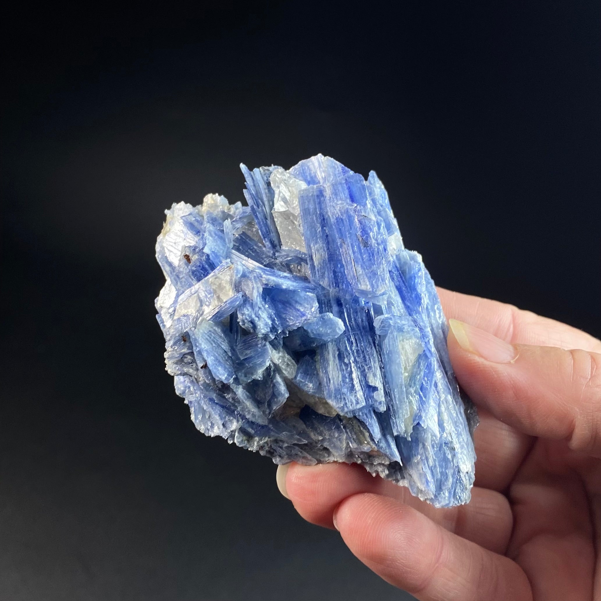 Blue Kyanite and Quartz Specimen from Minas Gerais, Brazil