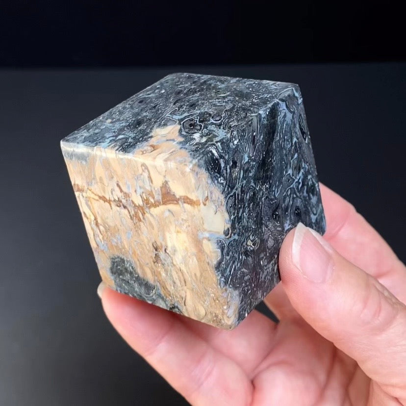 Fossilized Palm Root Ball Polished Cube from Sumatra, Indonesia