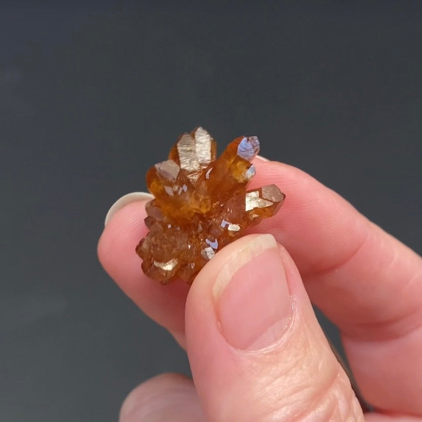 Floater Citrine Colored Honey Brown Quartz Flower Cluster - Midelt, Morocco