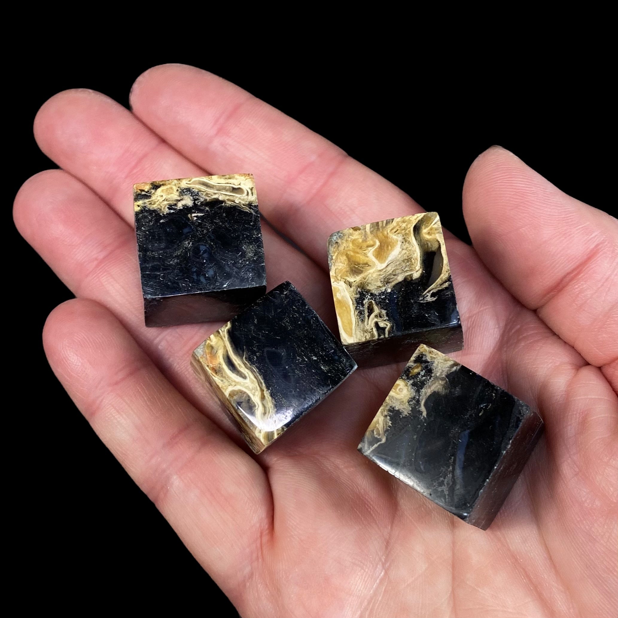 Fossilized Palm Root Polished Cube
