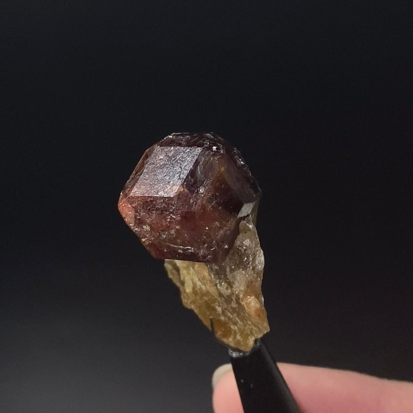 Garnet Crystal on Mica