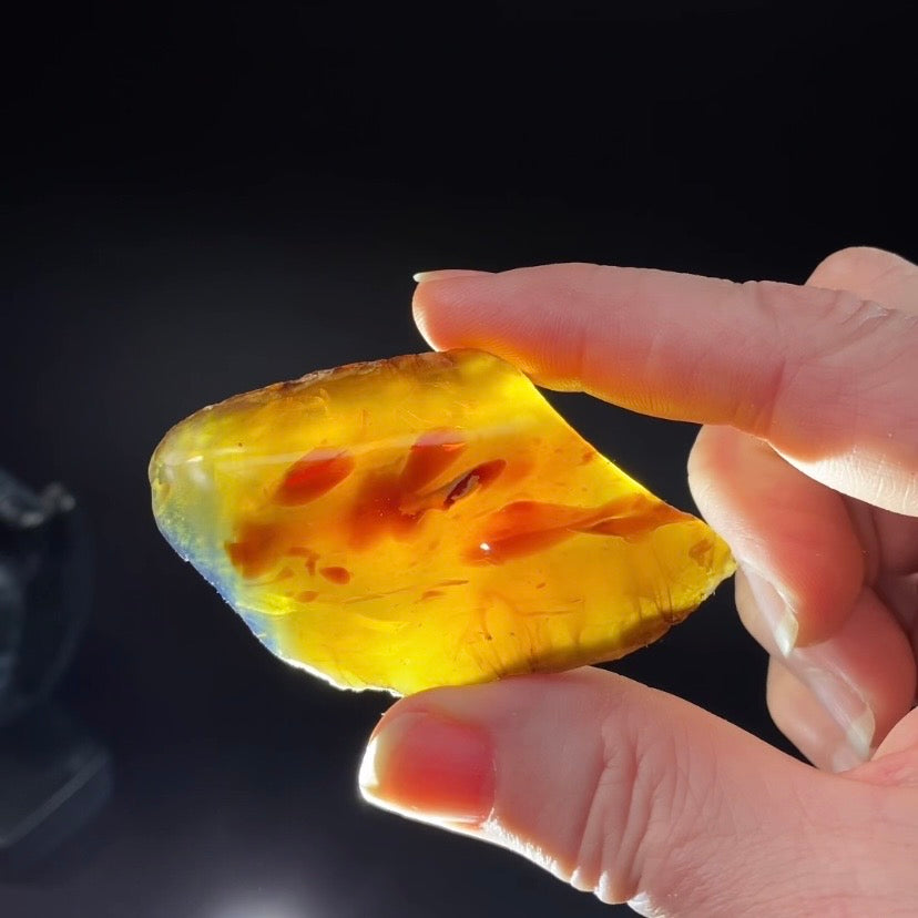 High Grade Sumatran Blue Amber Polished Display Face and Raw Exterior
