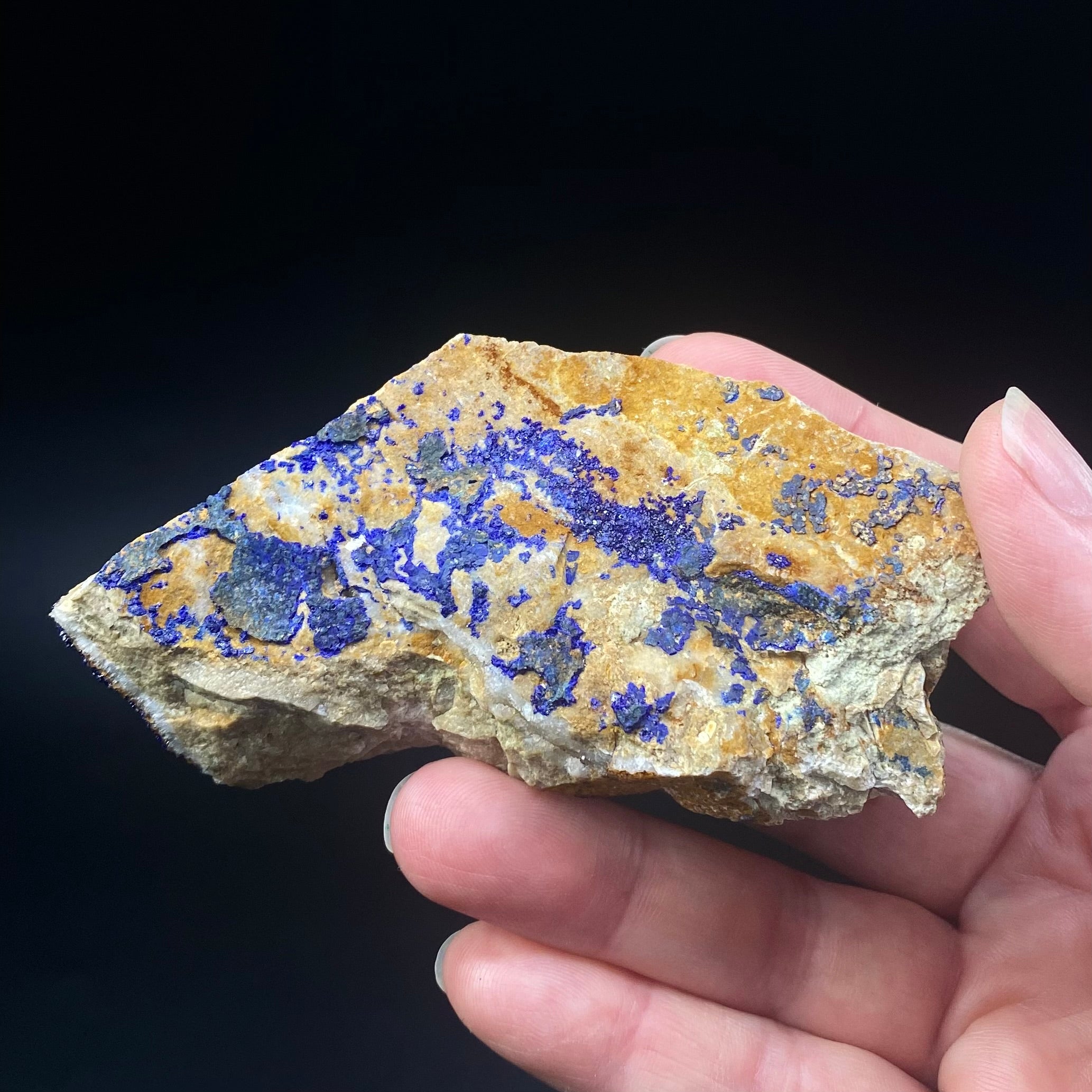 Azurite Crystals on Quartzite, Morocco