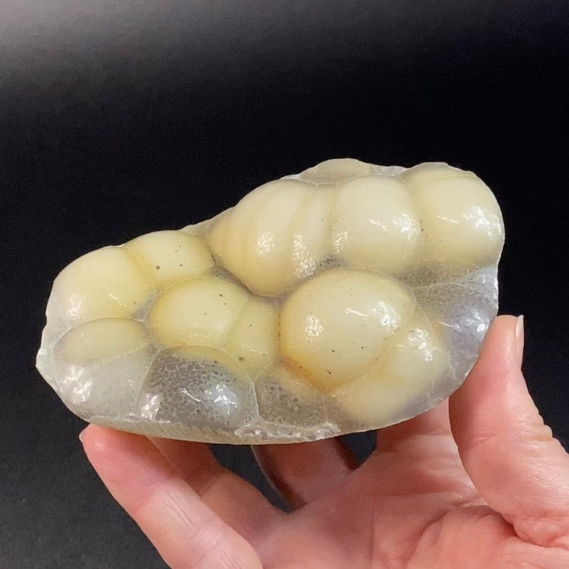 Gray Botryoidal Chalcedony Plate – Cream and White Internal Zoning – Maharashtra, India