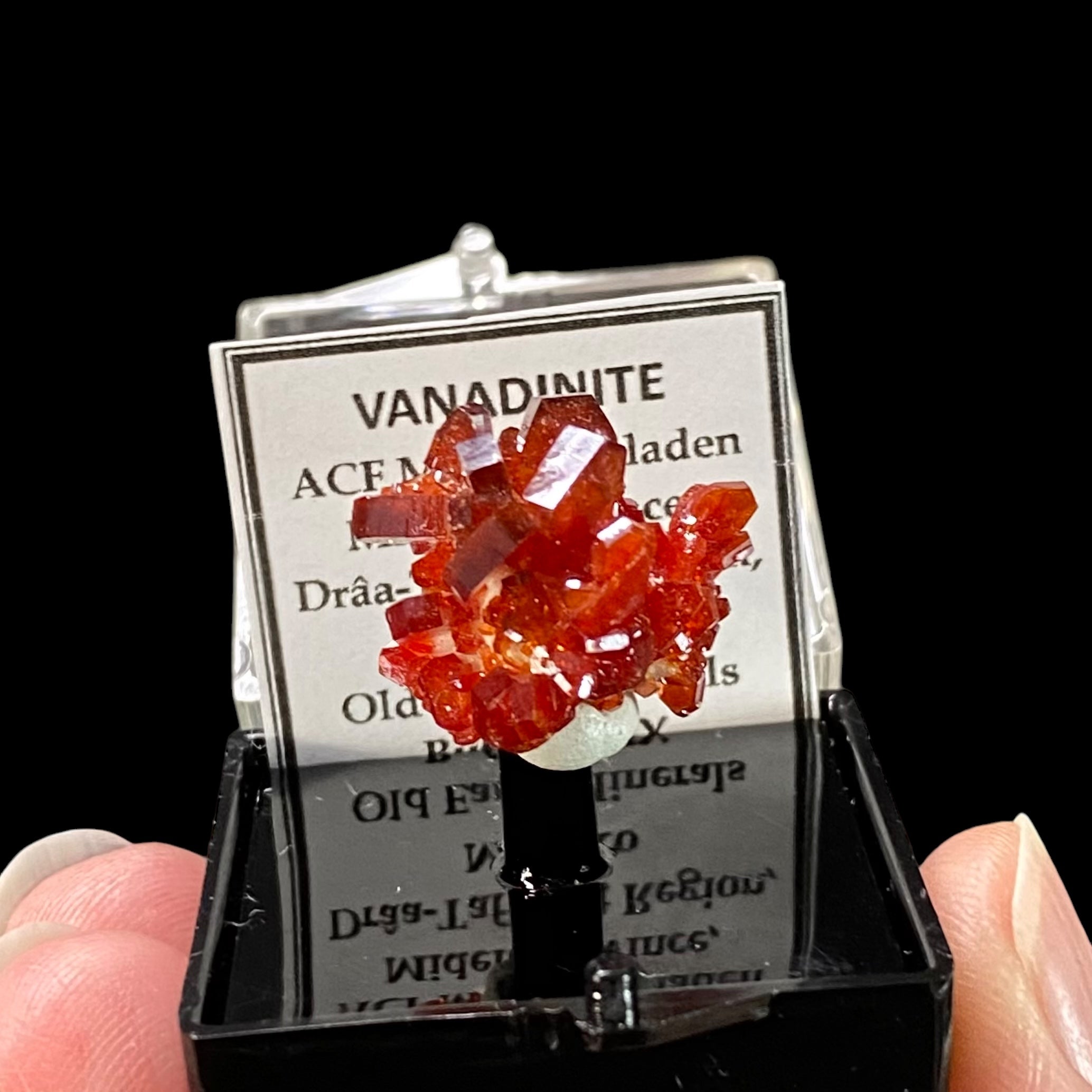 Gemmy Vanadinite Thumbnail Size Cluster in Perky Box