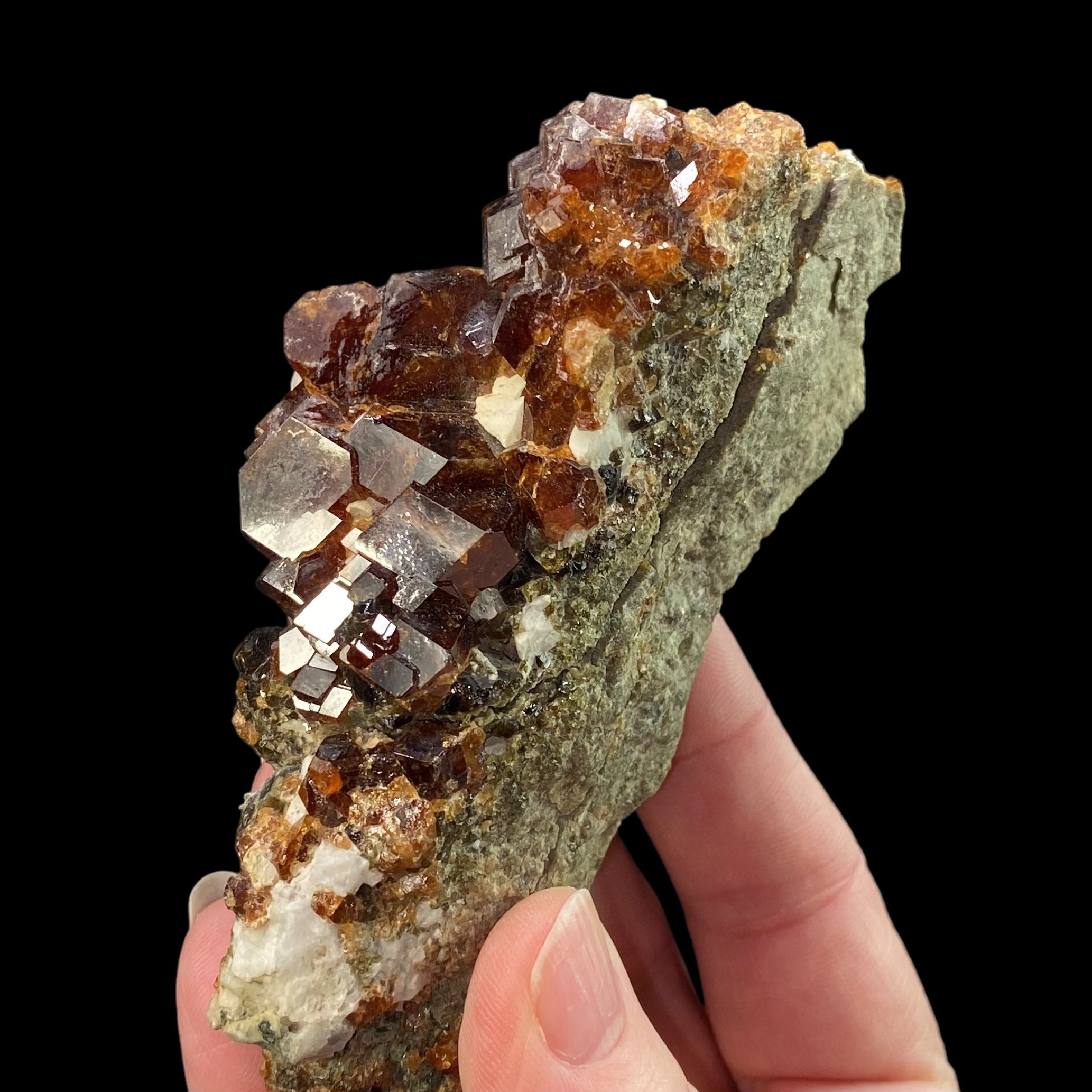 Garnets on Metamorphic Matrix from Afghanistan