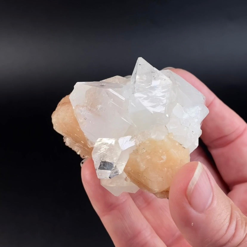 Peach Stilbite Bow Tie with Clear Apophyllite Crystals