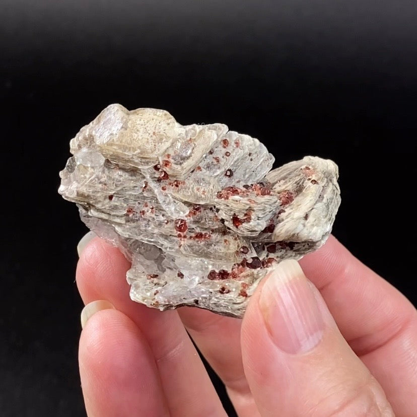 Spessartine Garnets on Muscovite Mica, Shigar Valley, Pakistan