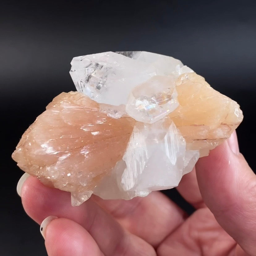 Peach Stilbite Bow Tie with Clear Apophyllite Crystals